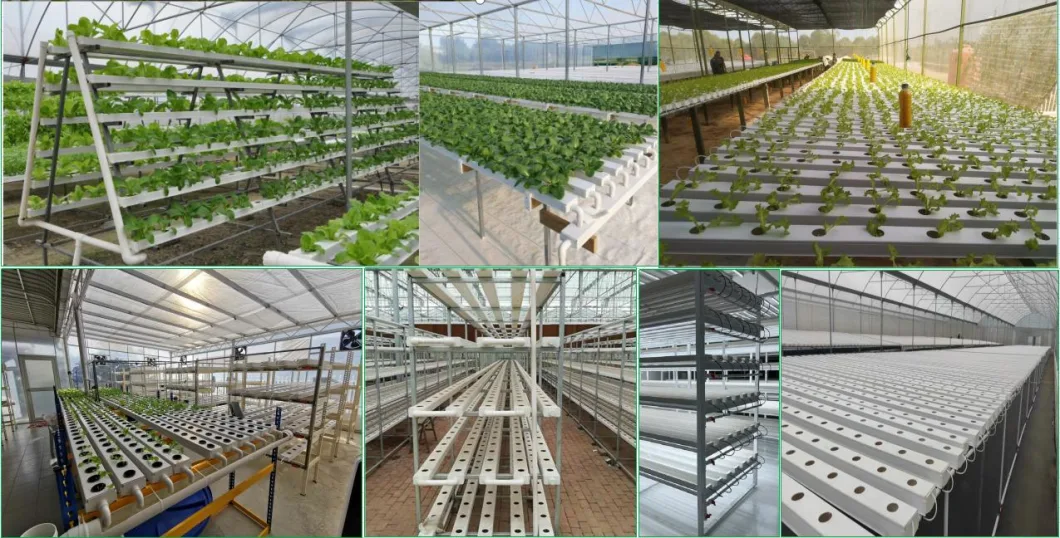 High Quality Agricultural Hydroponics Greenhouse Equipment Microgreens Indoor Greenhouse Growing System for Micro Green