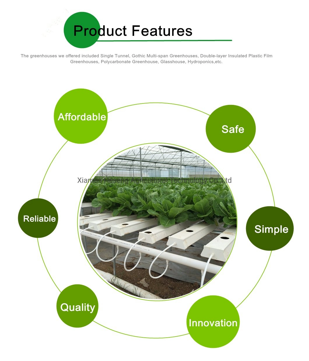 Commercial Hot Sale Hydroponic Channel System in Greenhouse and Farm Nft Hydroponics System with Hydroponics Equipment for Lettuce/Celery/Greens Cultivation