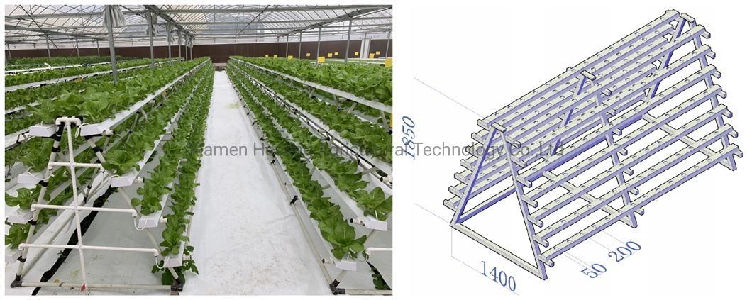 Commercial Hot Sale Hydroponic Channel System in Greenhouse and Farm Nft Hydroponics System with Hydroponics Equipment for Lettuce/Celery/Greens Cultivation