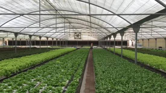 Système de culture de canal hydroponique Nft de canal en PVC de qualité alimentaire 100X50mm pour les légumes-feuilles